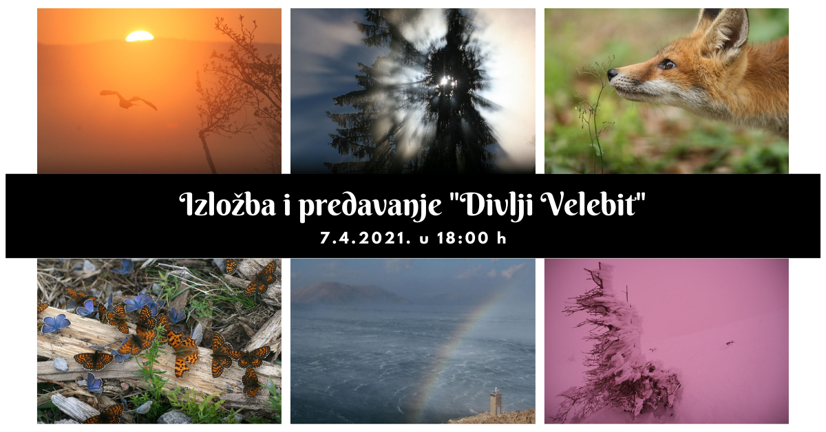 KLNT0012 Predstava Uvijek će nam ostati ljubav 6